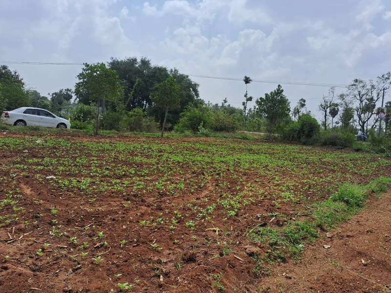  Residential Plot 3484 Sq.ft. for Sale in Virudhachalam, Cuddalore