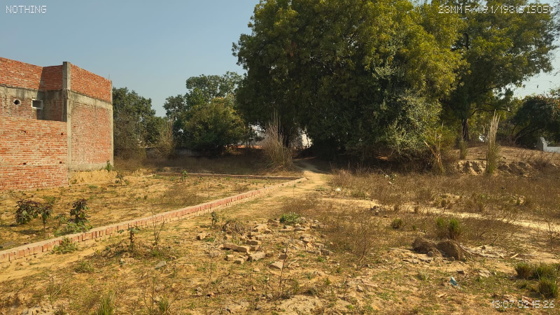  2720 Sq.ft. Residential Plot for Sale in Chhatoh, RaeBareli