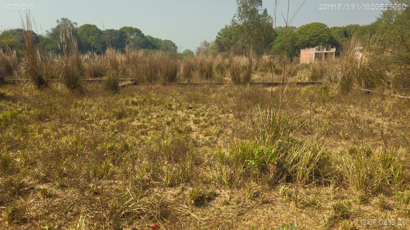  2720 Sq.ft. Residential Plot for Sale in Chhatoh, RaeBareli