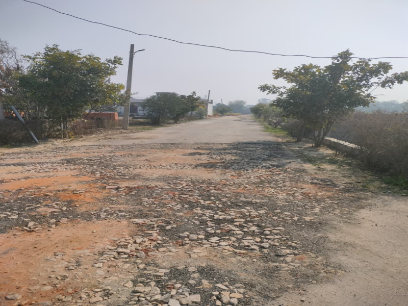  1000 Sq.ft. Residential Plot for Sale in Mohanlalganj, Lucknow