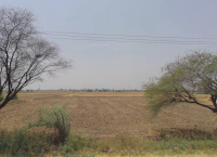  Commercial Land for Sale in Bahadurgarh Bypass
