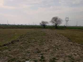  Agricultural Land for Sale in Sector 68 Gurgaon