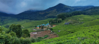  Hotels for Sale in Munnar, Idukki