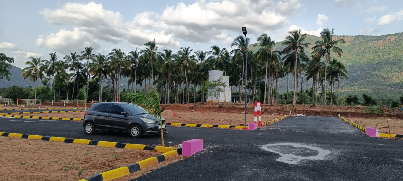  Residential Plot 1200 Sq.ft. for Sale in Chinnalapatti, Dindigul