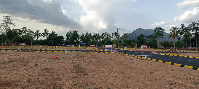  Residential Plot 1200 Sq.ft. for Sale in Chinnalapatti, Dindigul