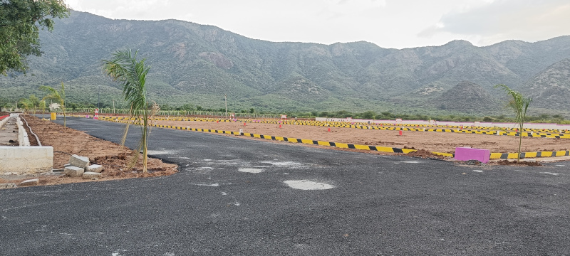  Residential Plot 1200 Sq.ft. for Sale in Chinnalapatti, Dindigul