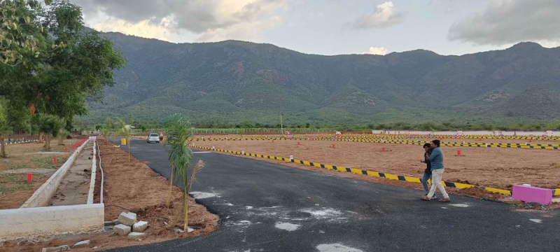  Residential Plot 1200 Sq.ft. for Sale in Balakrishnapuram, Dindigul