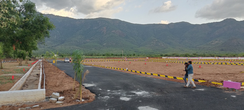  Residential Plot 1200 Sq.ft. for Sale in Chinnalapatti, Dindigul