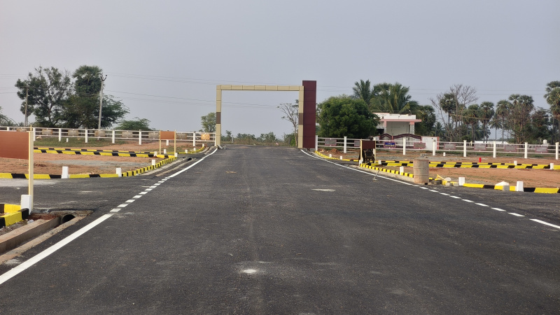  Residential Plot 1200 Sq.ft. for Sale in Chinnalapatti, Dindigul