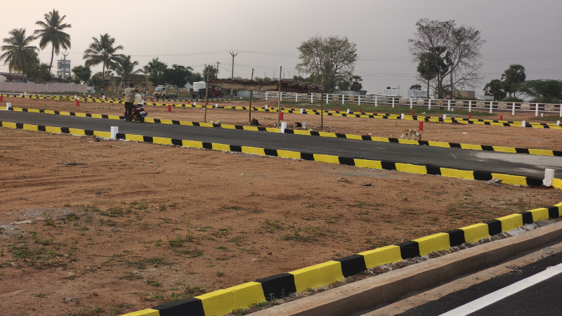  Residential Plot 1200 Sq.ft. for Sale in Balakrishnapuram, Dindigul