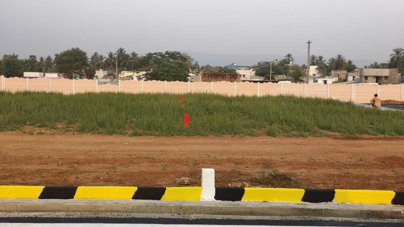  Residential Plot 1200 Sq.ft. for Sale in Balakrishnapuram, Dindigul