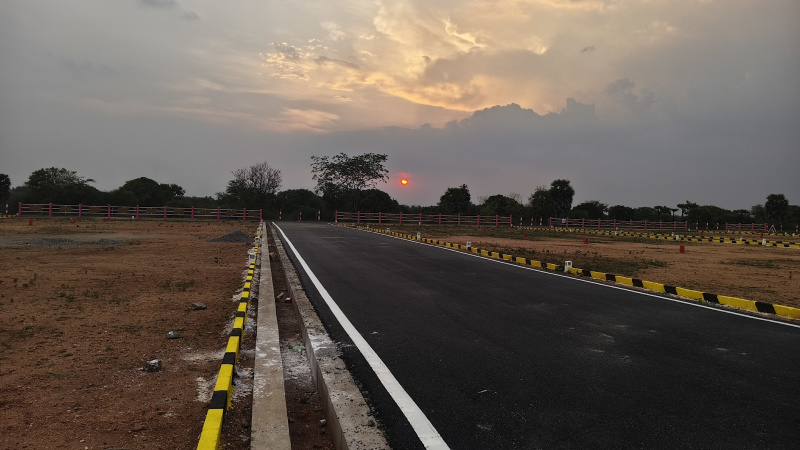  Residential Plot 1200 Sq.ft. for Sale in Balakrishnapuram, Dindigul