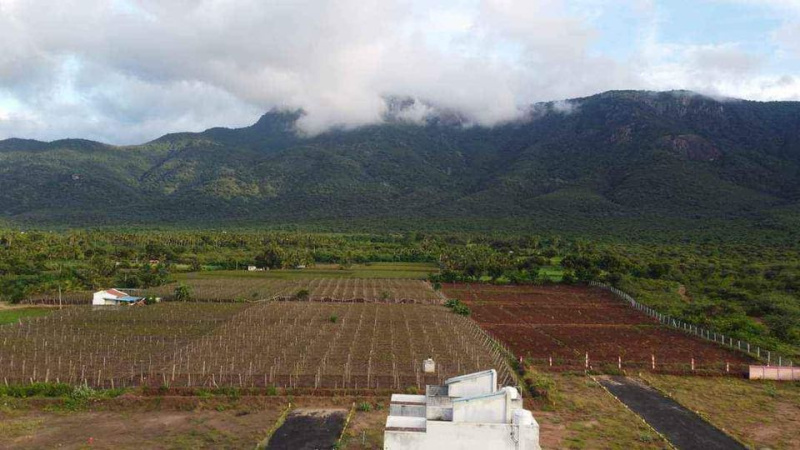 1200 Sq.ft. Residential Plot for Sale in Natham, Dindigul