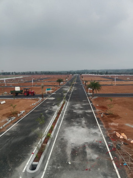  Residential Plot for Sale in RM Colony, Dindigul