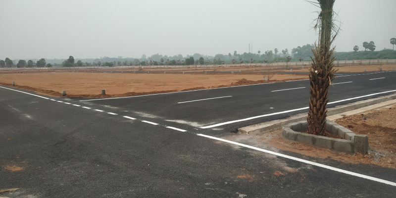  1200 Sq.ft. Residential Plot for Sale in Sanarpatti, Dindigul
