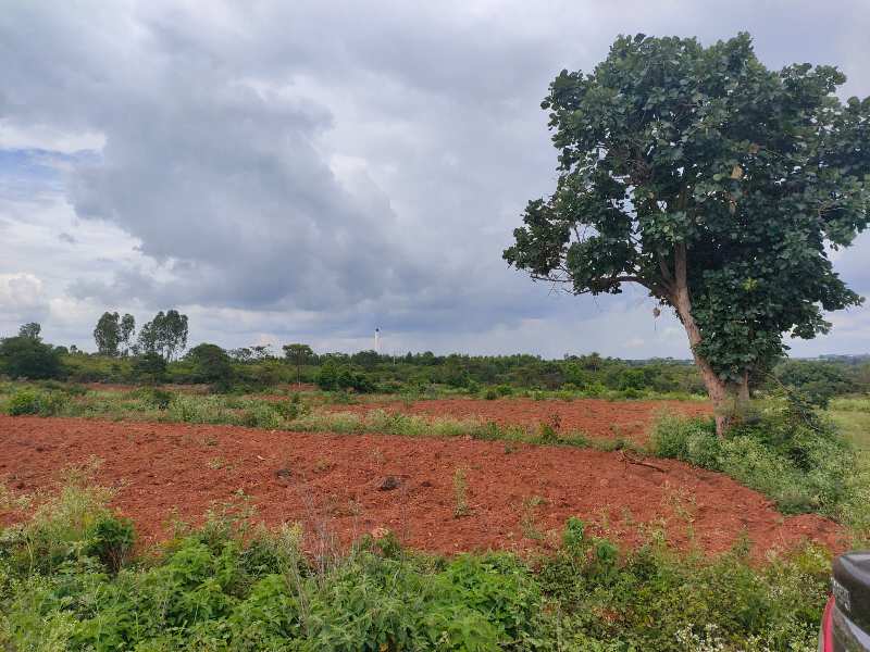 Farm Land for Sale in Thalli, Hosur (REI1056386)