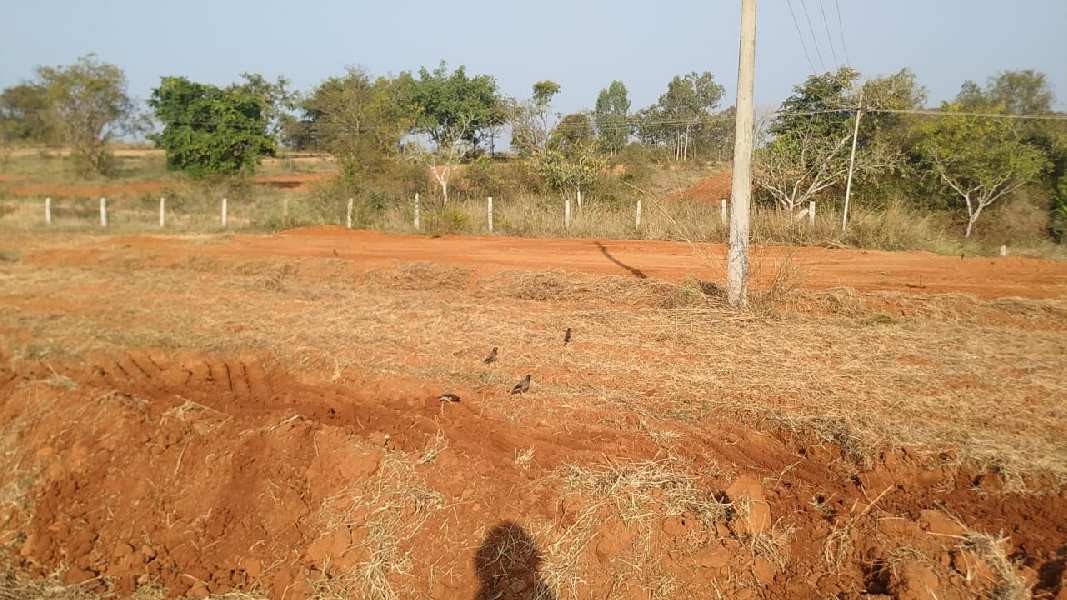 Agricultural Land 4 Acre for Sale in Krishnarajanagar, Mysore