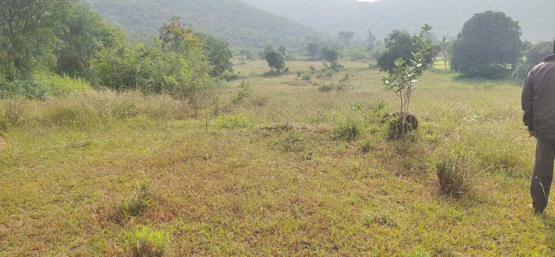 Agricultural Land 3 Acre for Sale in Nanjangud, Mysore