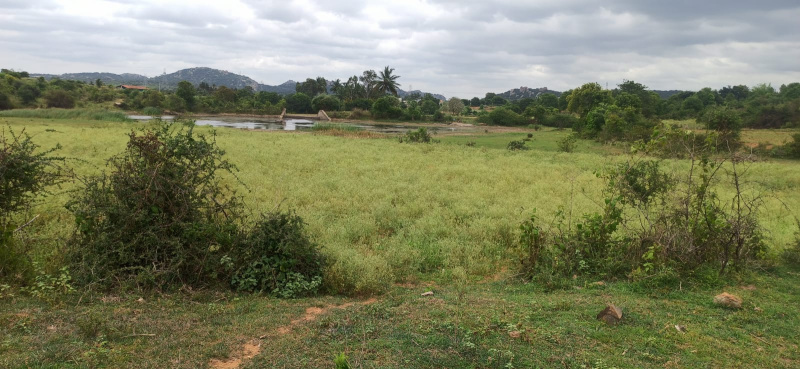 Agricultural Land 2 Acre for Sale in Denkanikottai, Krishnagiri