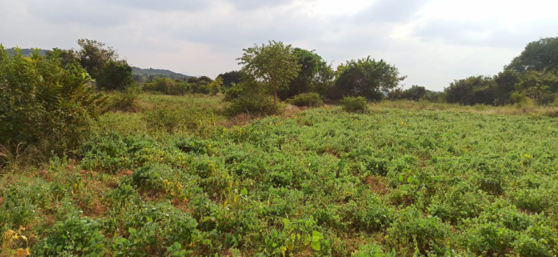  Agricultural Land 20 Acre for Sale in Shoolagiri, Krishnagiri
