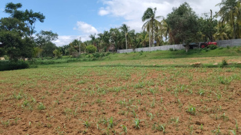  Agricultural Land for Sale in Ram Nagar, Coimbatore