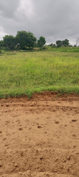  Agricultural Land 2 Acre for Sale in Denkanikottai, Krishnagiri