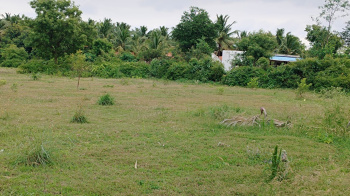  Agricultural Land for Sale in Veppanapalli, Krishnagiri