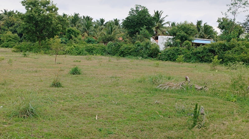  Agricultural Land 3 Acre for Sale in Veppanapalli, Krishnagiri