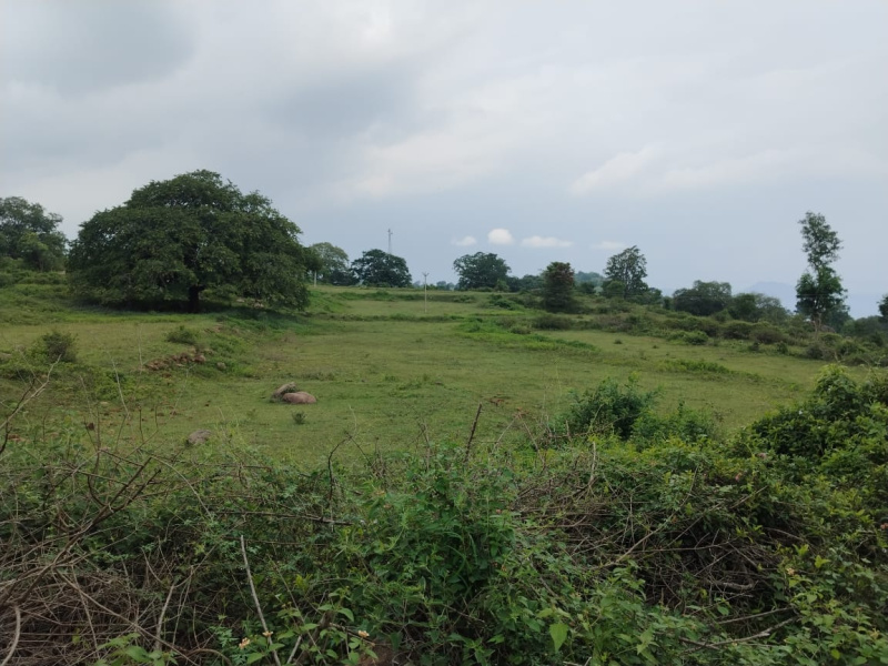  Agricultural Land 5 Acre for Sale in Pavagada, Tumkur