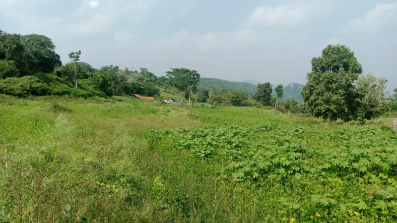  Agricultural Land 4 Acre for Sale in Denkanikottai, Krishnagiri