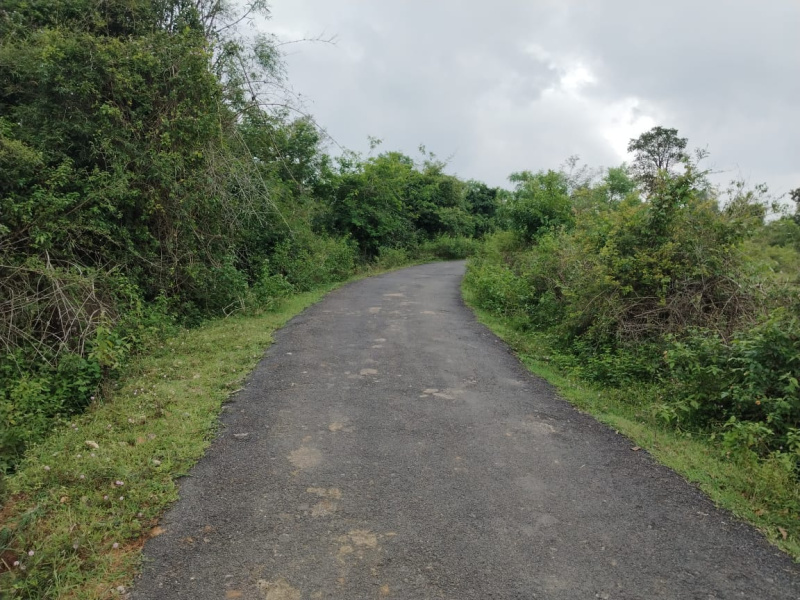  Agricultural Land 6 Acre for Sale in Denkanikottai, Krishnagiri