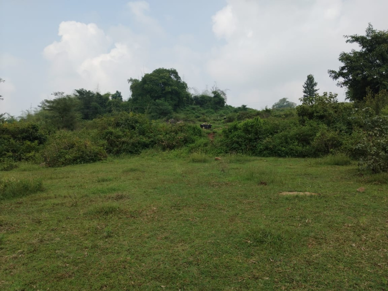  Agricultural Land 4 Acre for Sale in Pavagada, Tumkur