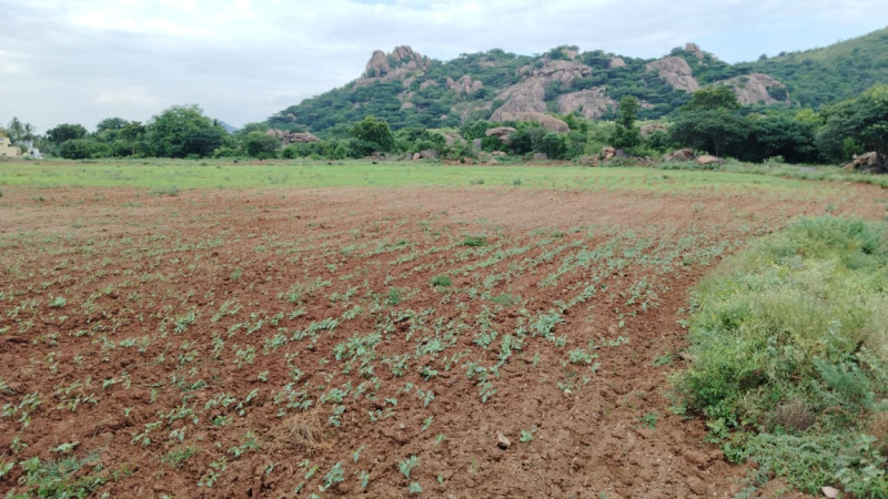  Agricultural Land 2 Acre for Sale in Marandahalli, Dharmapuri