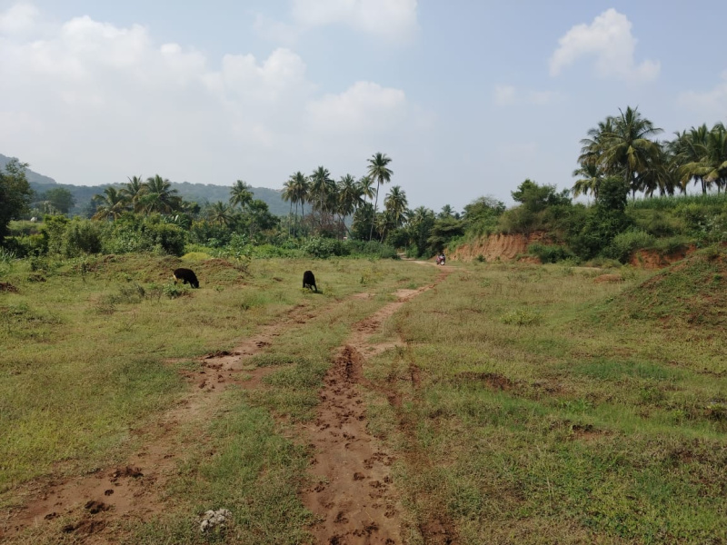  Agricultural Land 2 Acre for Sale in Denkanikottai, Krishnagiri