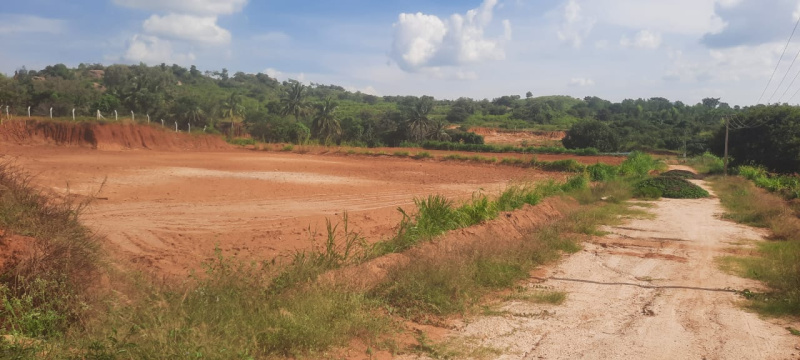  Agricultural Land 30 Acre for Sale in Denkanikottai, Krishnagiri