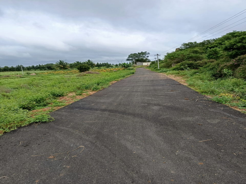  Agricultural Land 4 Acre for Sale in Denkanikottai, Krishnagiri