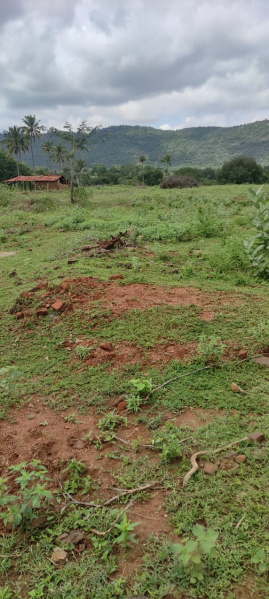  Agricultural Land 1 Acre for Sale in Denkanikottai, Krishnagiri