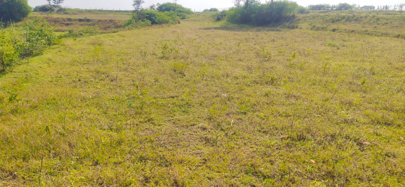  Agricultural Land 4 Acre for Sale in Denkanikottai, Krishnagiri