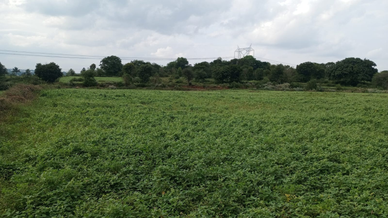  Agricultural Land 30 Acre for Sale in Palacode, Dharmapuri