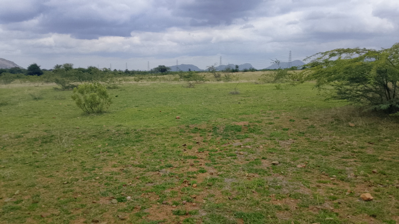  Agricultural Land 4 Acre for Sale in Pavagada, Tumkur