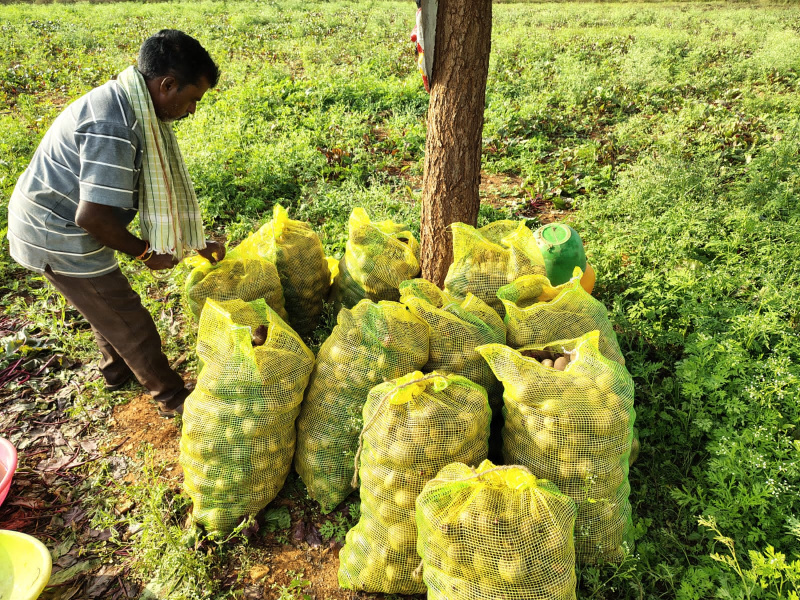  Agricultural Land 4 Acre for Sale in Pavagada, Tumkur