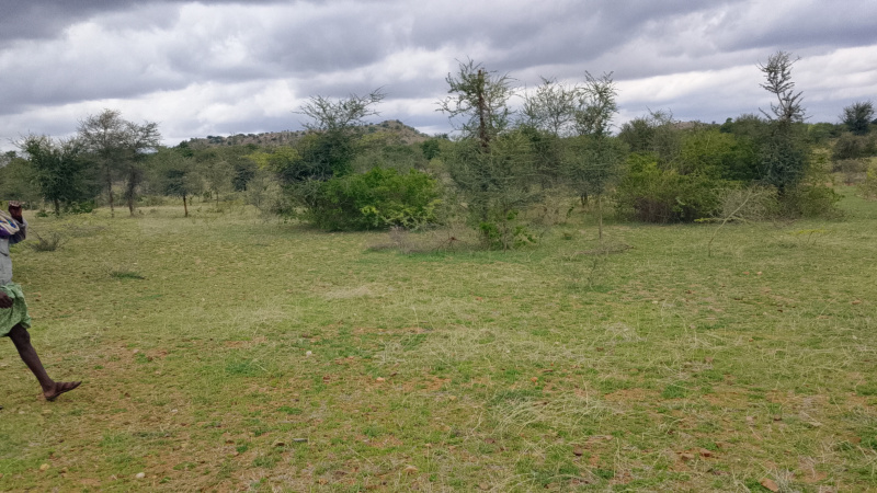 Agricultural Land 3 Acre for Sale in Pavagada, Tumkur
