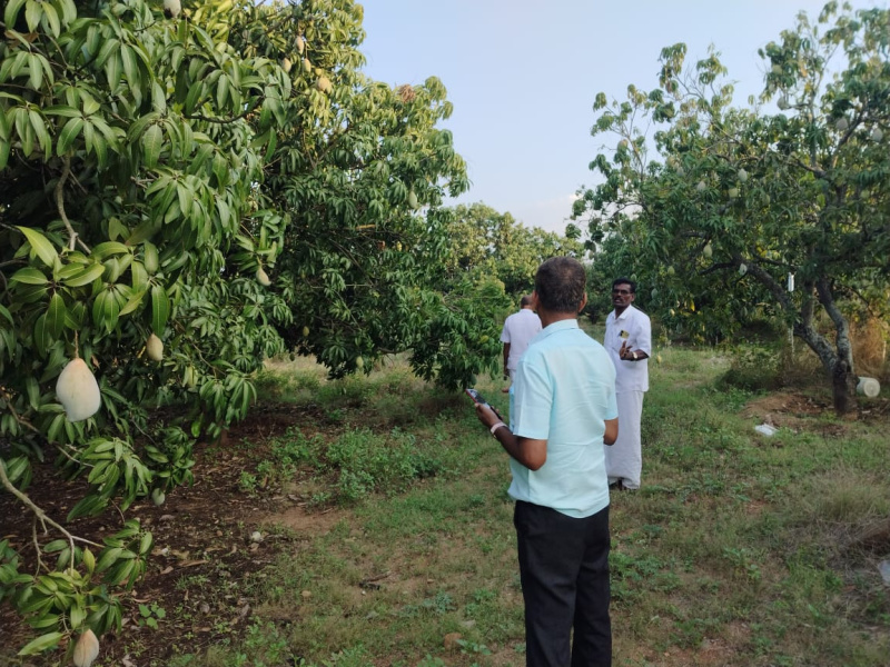  Agricultural Land 3 Acre for Sale in Kariamangalam, Dharmapuri