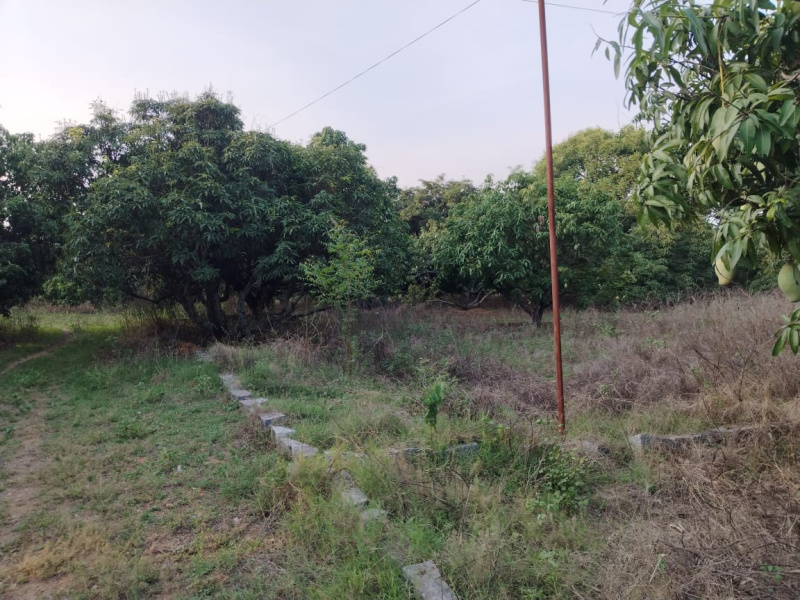  Agricultural Land 3 Acre for Sale in Kariamangalam, Dharmapuri