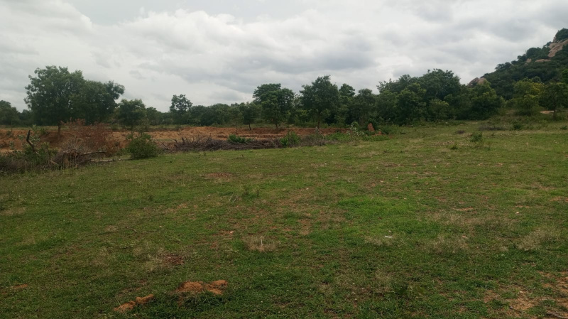  Agricultural Land 3 Acre for Sale in Palakkodu, Dharmapuri