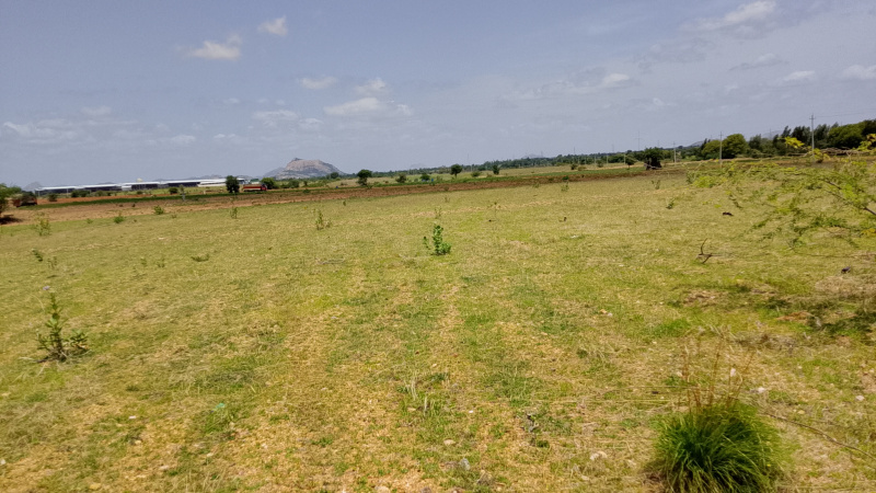  Agricultural Land 2 Acre for Sale in Berigai, Krishnagiri