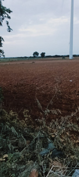  Agricultural Land for Sale in Kalyandurg, Anantapur