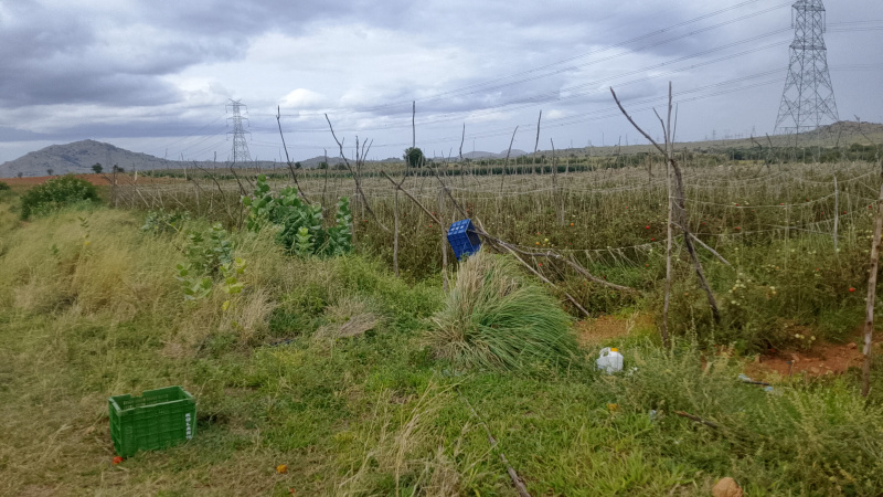  Agricultural Land 10 Acre for Sale in Pavagada, Tumkur