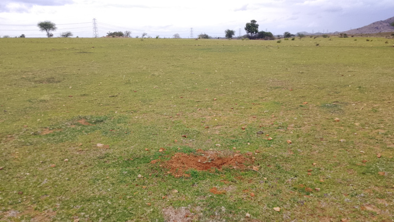  Agricultural Land 10 Acre for Sale in Pavagada, Tumkur