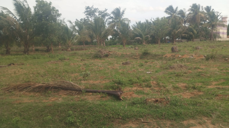  Agricultural Land 1 Acre for Sale in Palakkodu, Dharmapuri